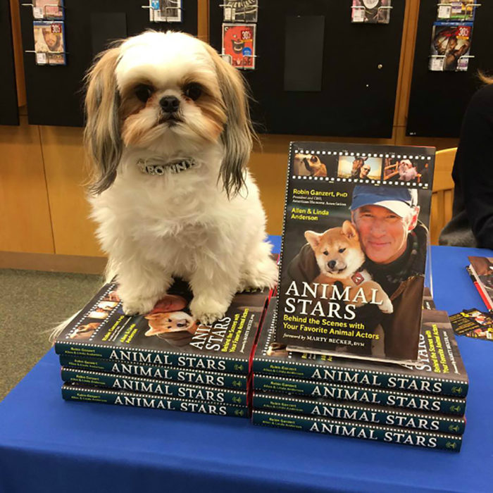 perrito sobre libros