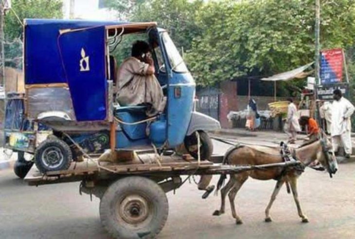 burro cargando un carro