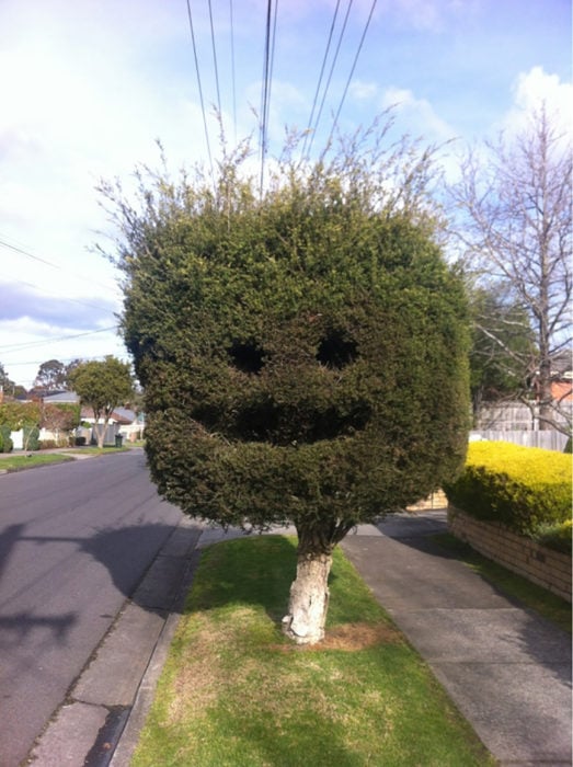 árbol sonriendo