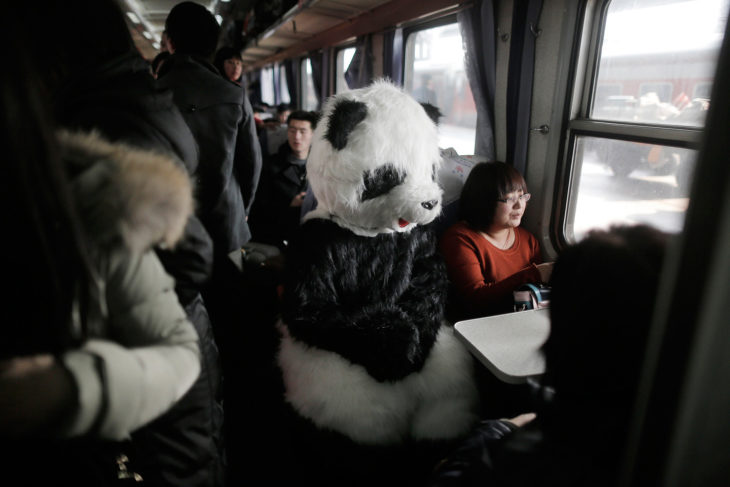 mujer disfrazada de panda en el autobús 