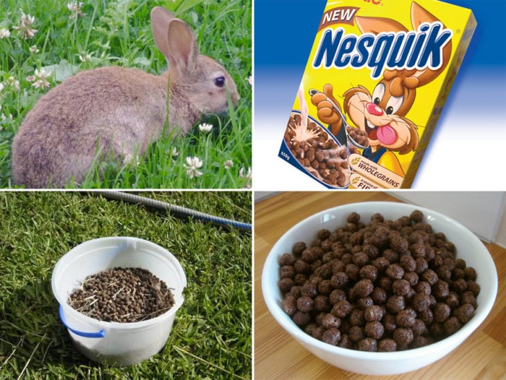 conejo y popo de conejo y nesquik 