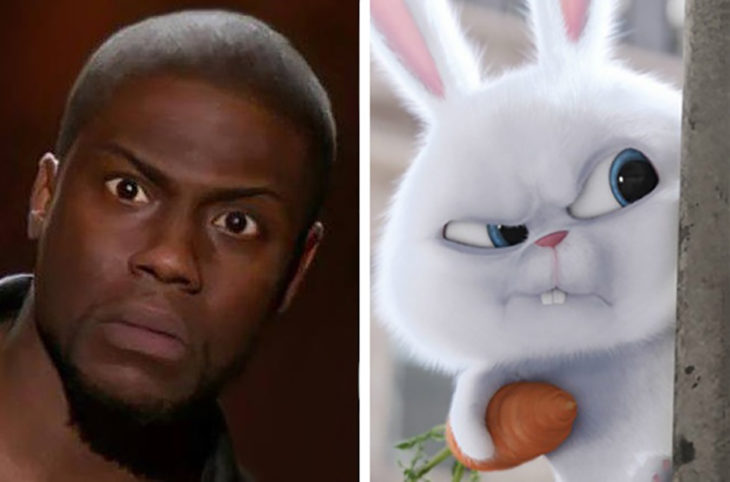 kevin hart la vida secreta de las mascotas