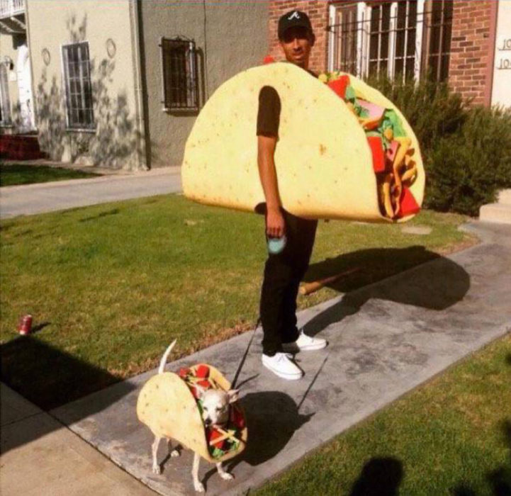 humano y perro disfrazados de taco