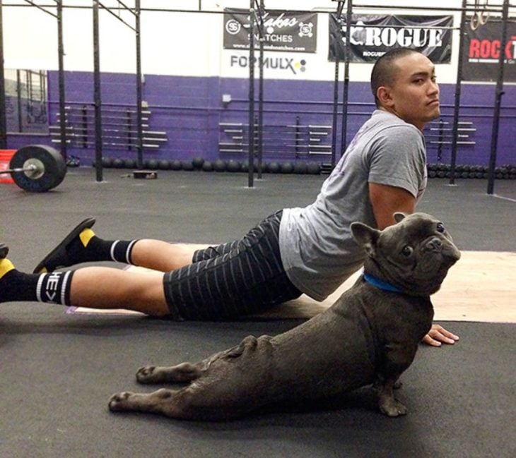 perro y humano en posición de yoga