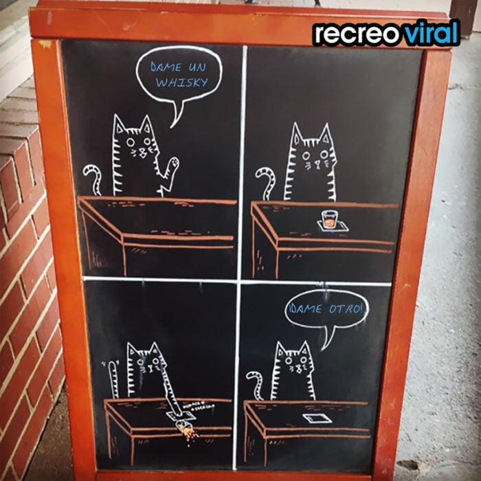 cartel para bar con gatitos