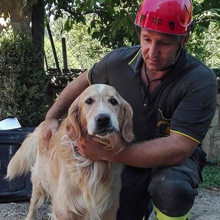 perro con bombero