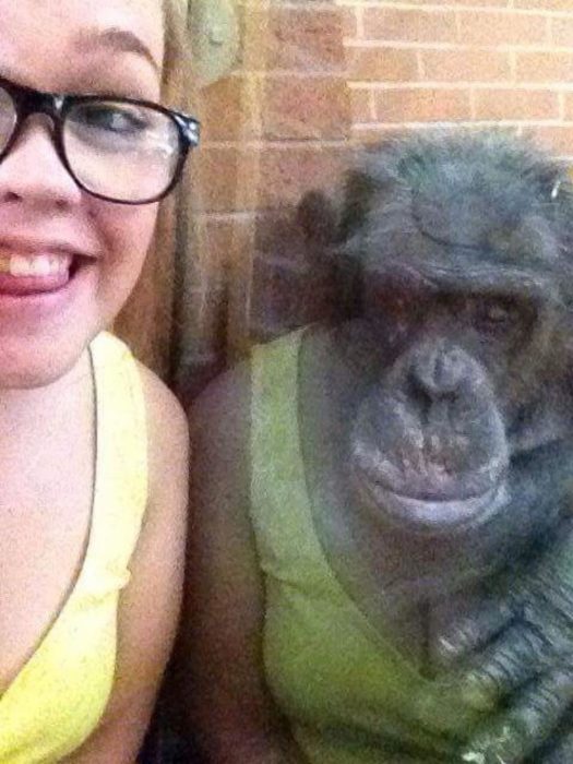 se refleja ropa de mujer en un primate