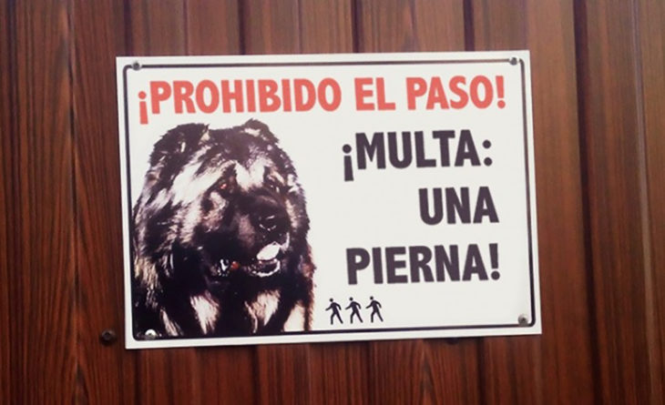 cartel perro bravo 