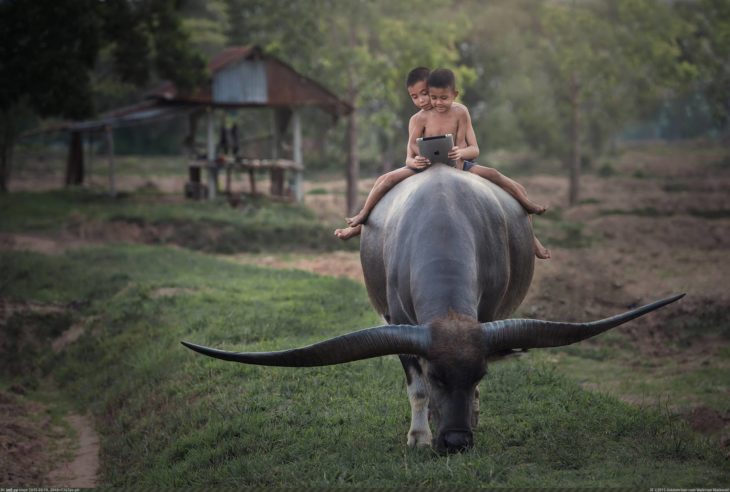 niños con tablet montados en animal