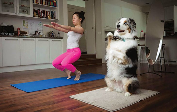 perrito con mujer haciendo yoga