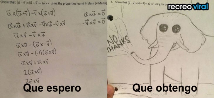 expectativa vs realidad examen