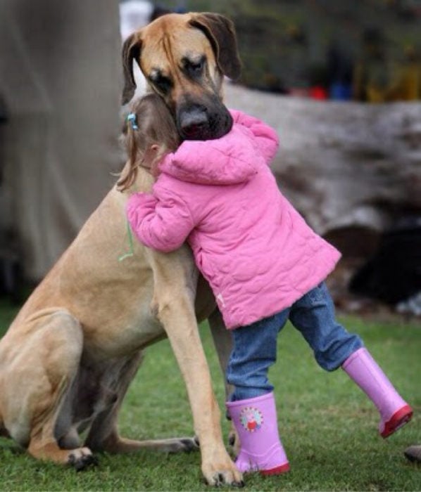 niña abrazando a un perro