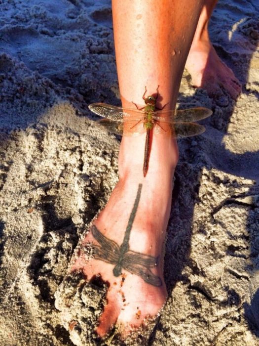 libélula posada sobre pie con tatuaje de libélula