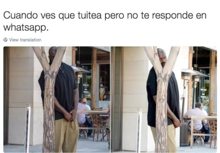 señor escondido tras un árbol