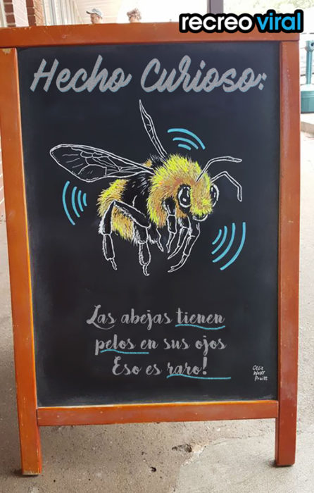 cartel sobre abejas 