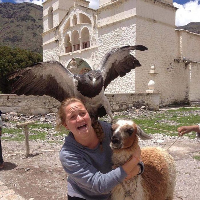 Foto de una mujer a la que ataca un ave