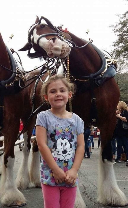 Foto de niña sonriendo y atras un caballo también sonrie