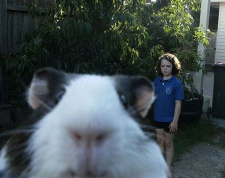 Animales photobomb - Foto de una niña atrás y en primer plano sale un hamster