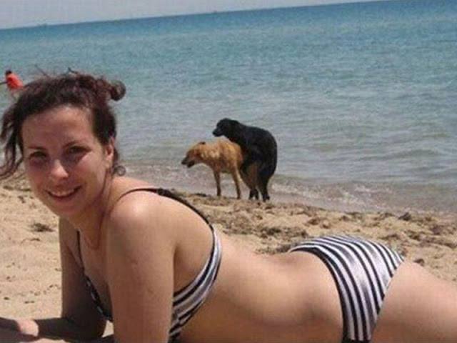 Animales photobomb - foto de mujer en la playa y atras se ven dos perros montados