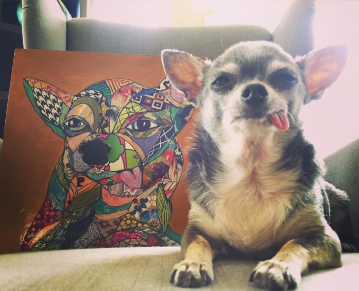 perrito viejito con la lengua de fuera