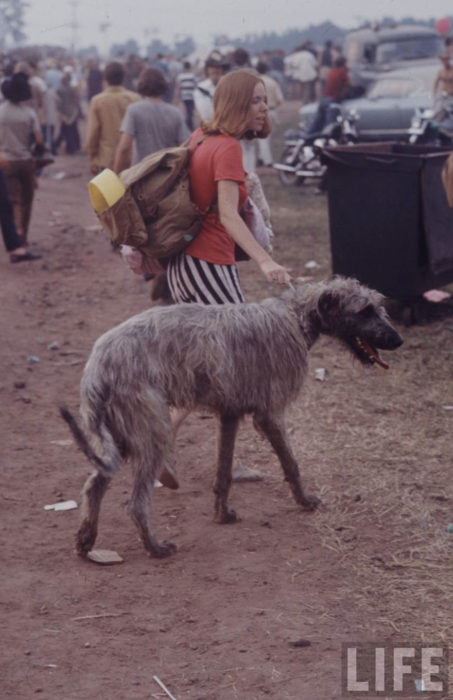 MUJER CUIDANDO A SU PERRO DE RAZA