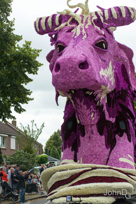 Gigantes esculturas florales - Dragon morado