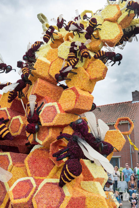 Gigantes esculturas florales - Detalles panal de abejas