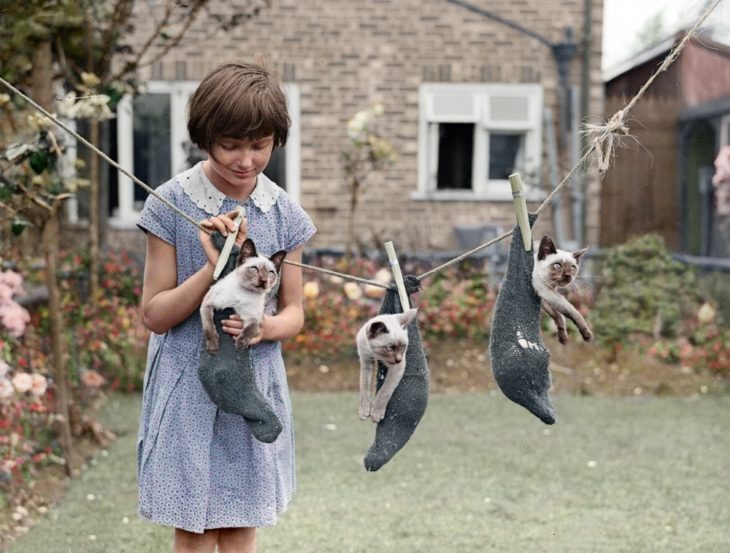 Fotos impresionantes y hermosas. Una niña colgando gatos en calcetines