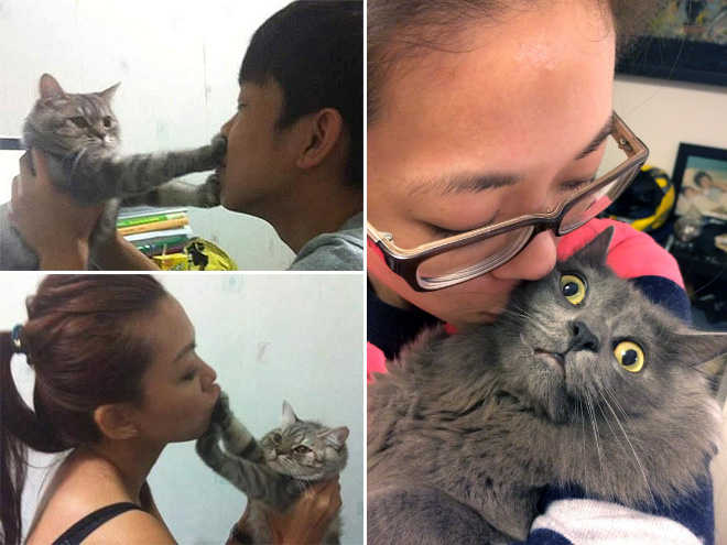 mujer intentando besar a sus gatos