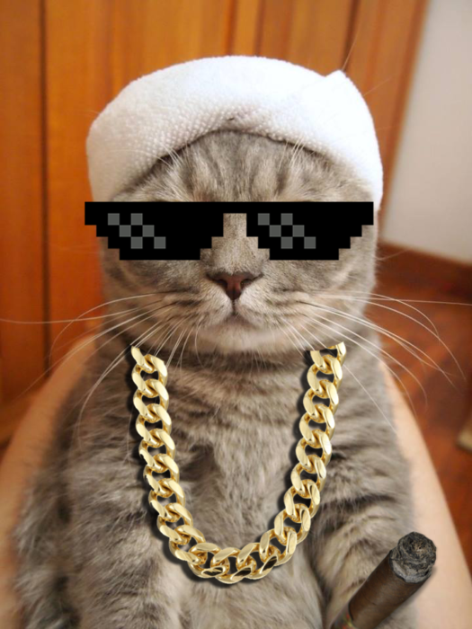 Batalla PS - gato thug life