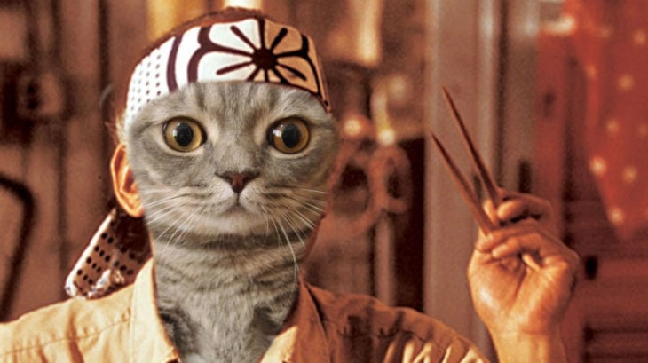 Batalla PS - gato karate kid