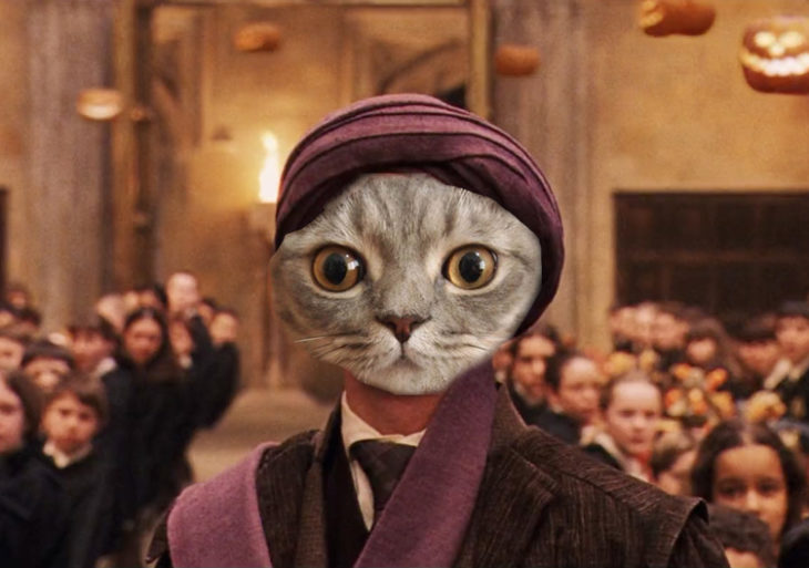 Batalla PS - Gato snape