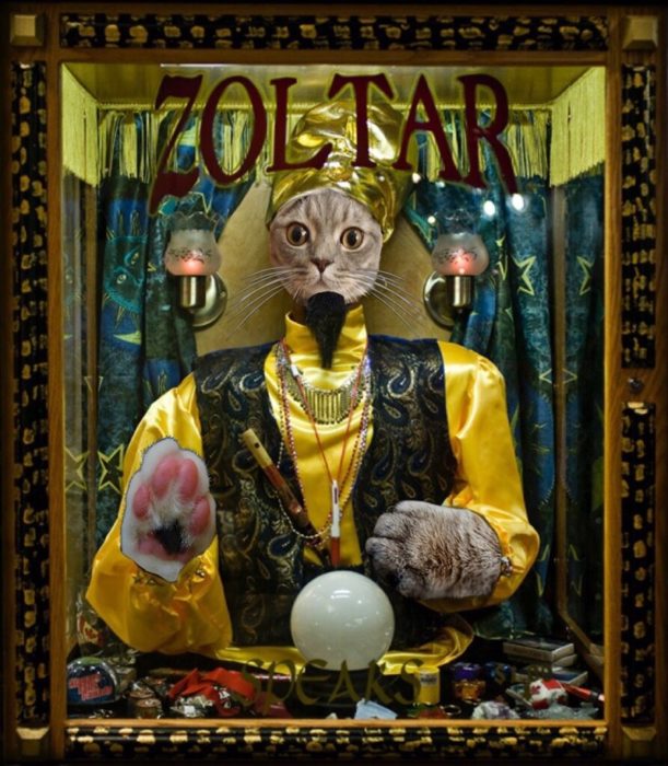 Batalla PS - Gato zoltar