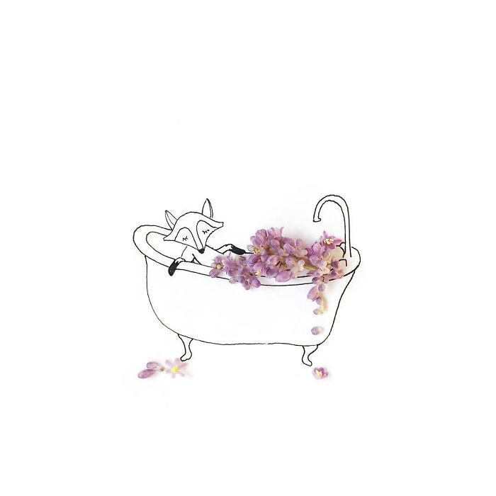 un zorro dándose un baño de flores arómaticas mientras descansa