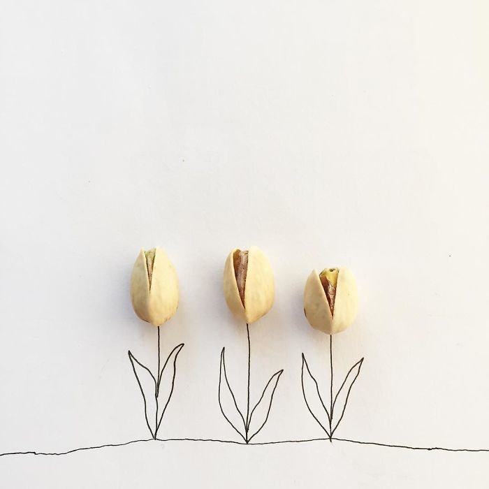 un par de tulipanes floreciencdo