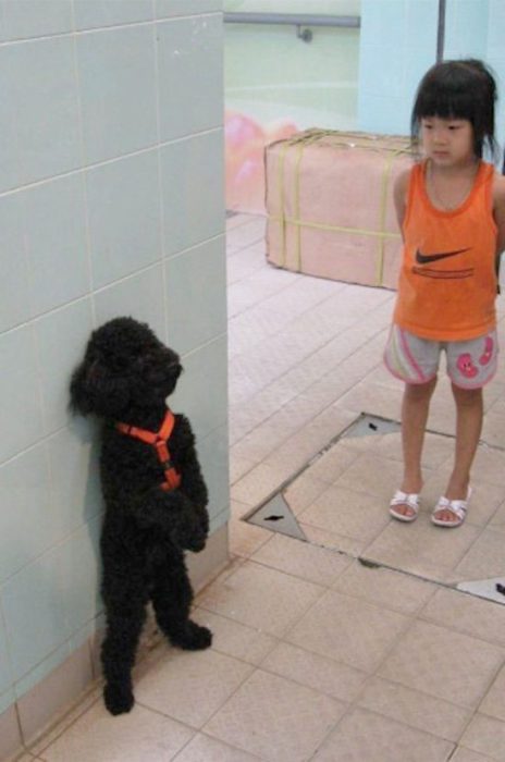 niña regañando a su perrito