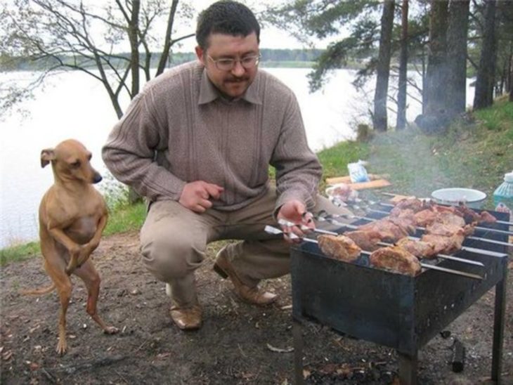 perrito esperando a que le den de comer algo de la parrilla