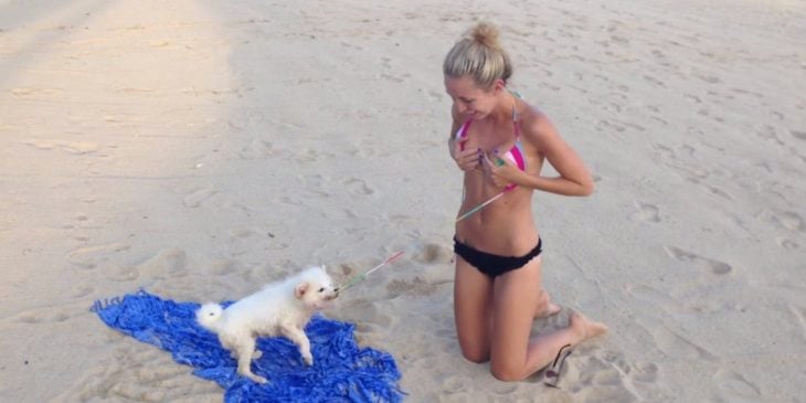 Perros traviesos - Perro en la playa le quita el bikini a mujer