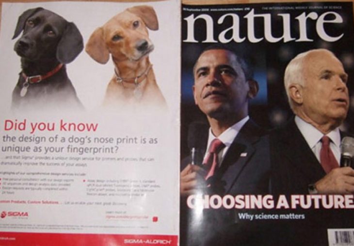 Fail revista una foto de dos labradores uno negro y uno blanco y en la otra una foto de Obama y McCain