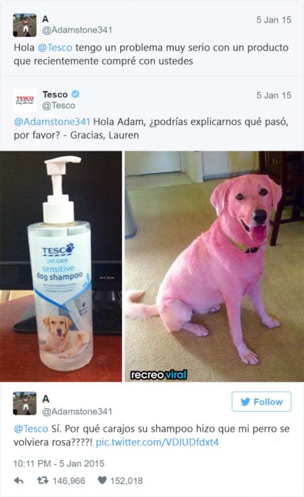 Quejas de clientes - Mi perro está rosa