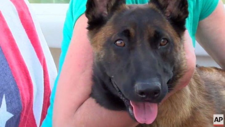 Perrito Rylee con la lengua de fuera mientras su dueña lo abraza