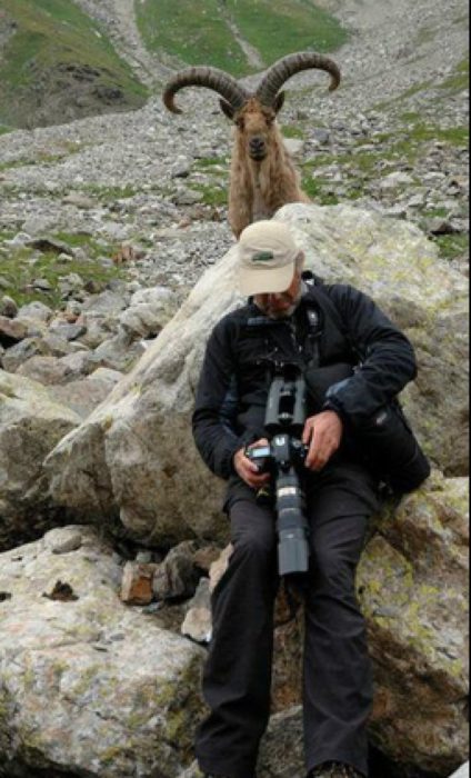 fotógrafo en las montañas dando la espalda a un ciervo