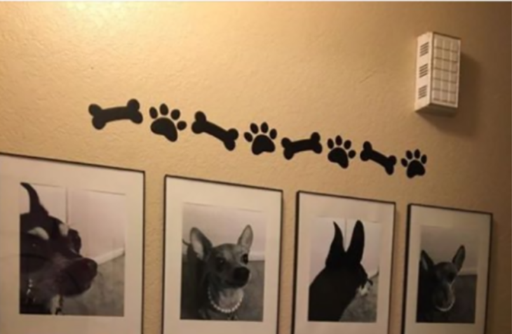 pared llena de fotos de perro
