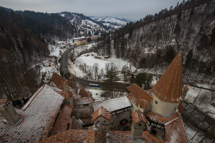 vista al bosque desde el castillo de bran 