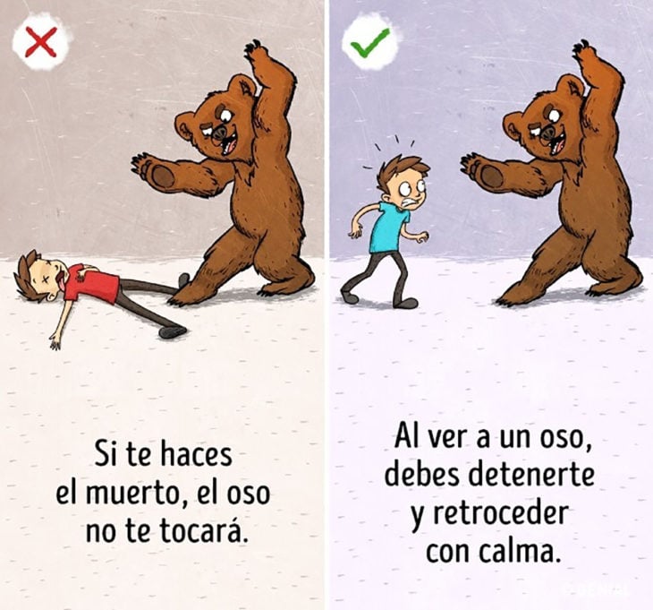 ilustración humano y oso