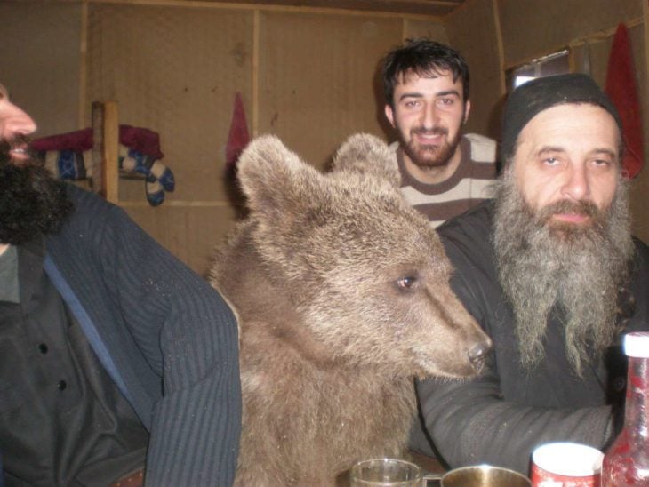 oso con tres personas en un bar 