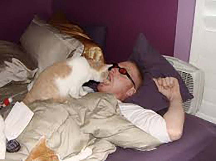 hombre besando gato