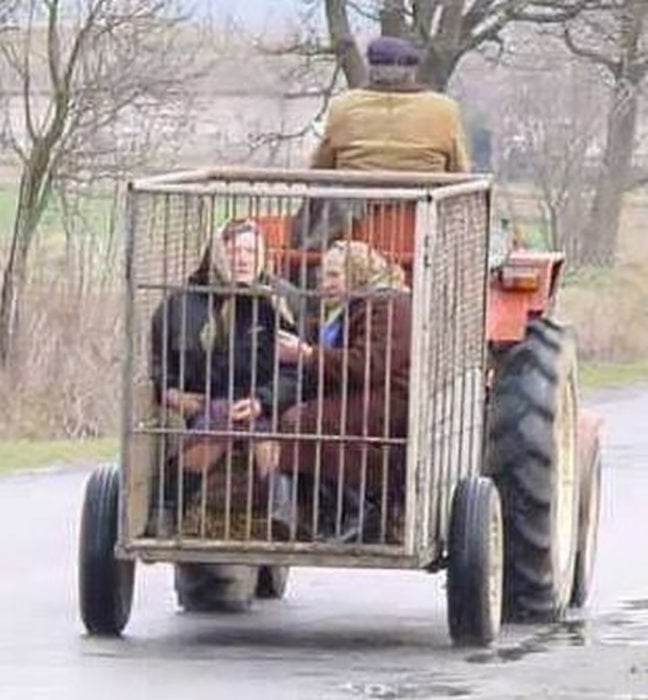 dos ancianas transportadas dentro de una jaula por un tractor