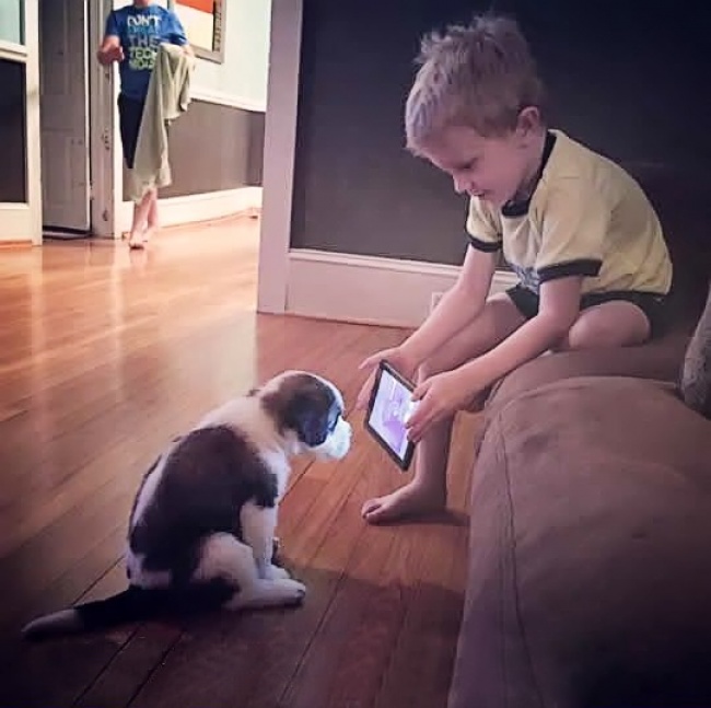 niño enseñando un celular a un cachorro 