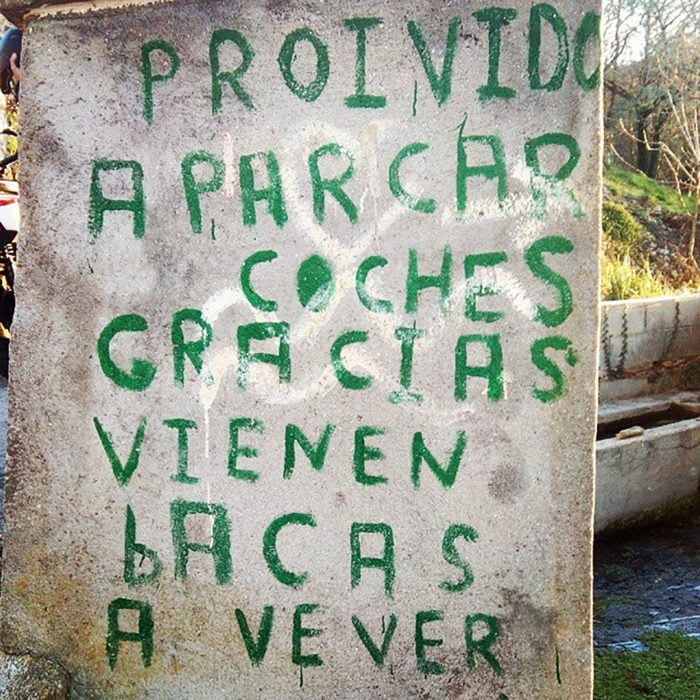 pared escrita con letras colores verdes